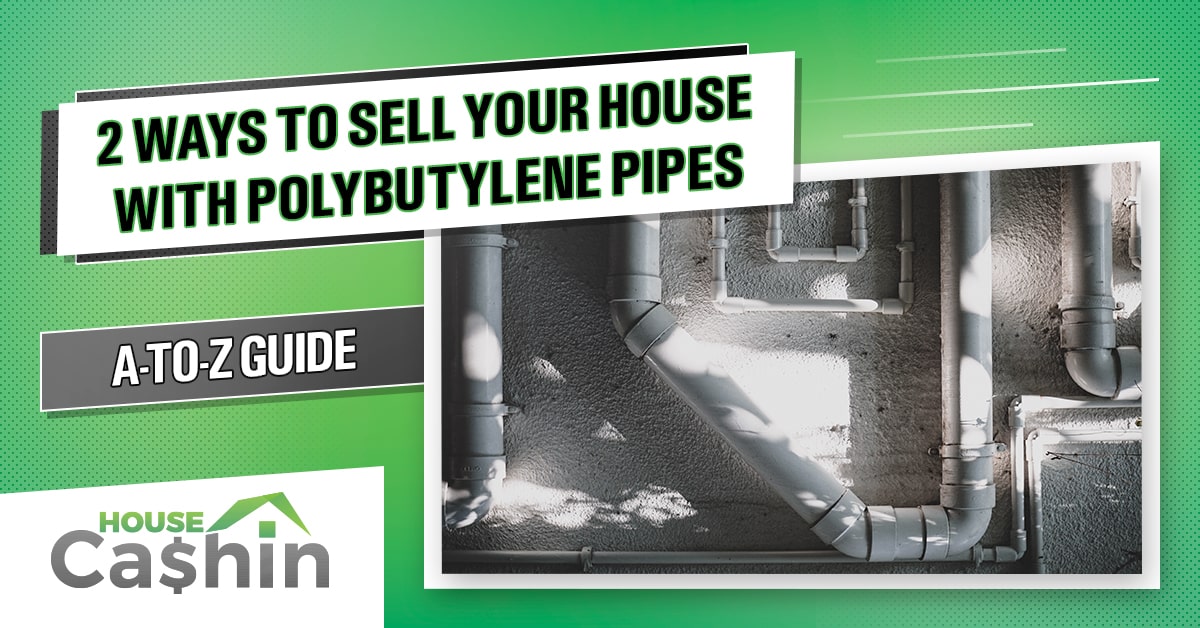 how much does it cost to replace polybutylene pipes